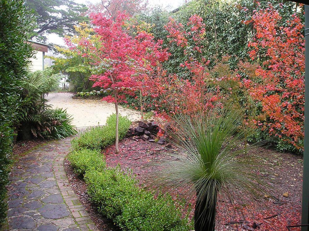 Valley Of The Waters B&B Wentworth Falls Exterior photo