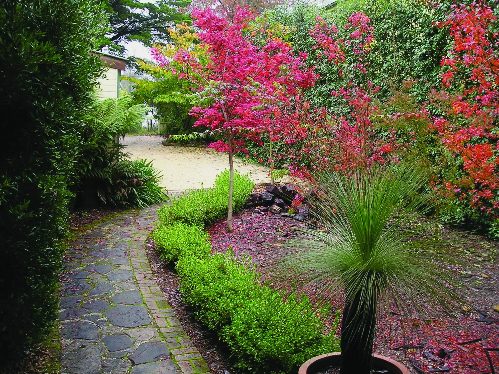 Valley Of The Waters B&B Wentworth Falls Exterior photo